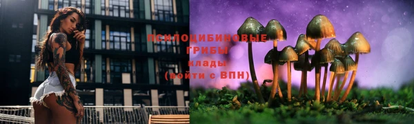 метадон Каменногорск