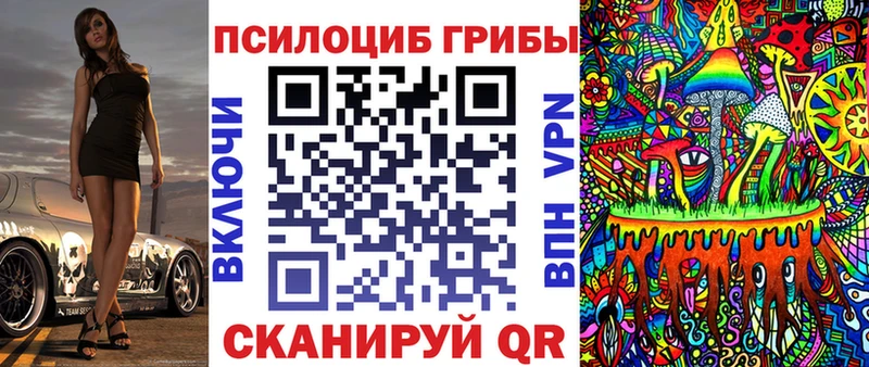 Псилоцибиновые грибы Psilocybine cubensis  Купить закладки  Барыш 